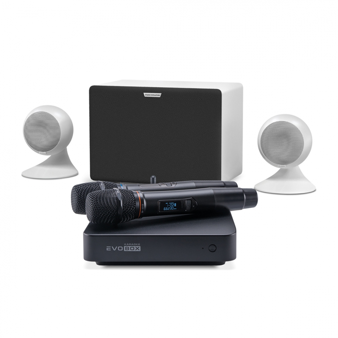 караоке-комплект EVOBOX Classic + EvoSound Sphere 2.1 в Зарайске