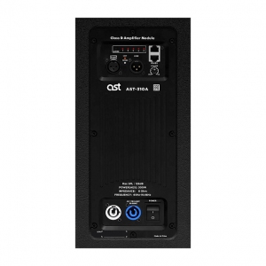 Активная акустическая система AST-310A в Зарайске