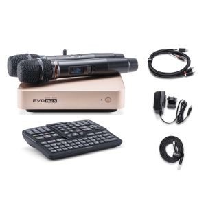 EVOBOX Classic караоке-система для дома в Зарайске