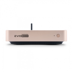 EVOBOX Plus караоке-система для дома в Зарайске