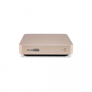 EVOBOX с микрофонами в Зарайске